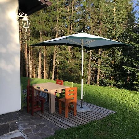 Il Finferlo Villa Bellamonte Exterior foto
