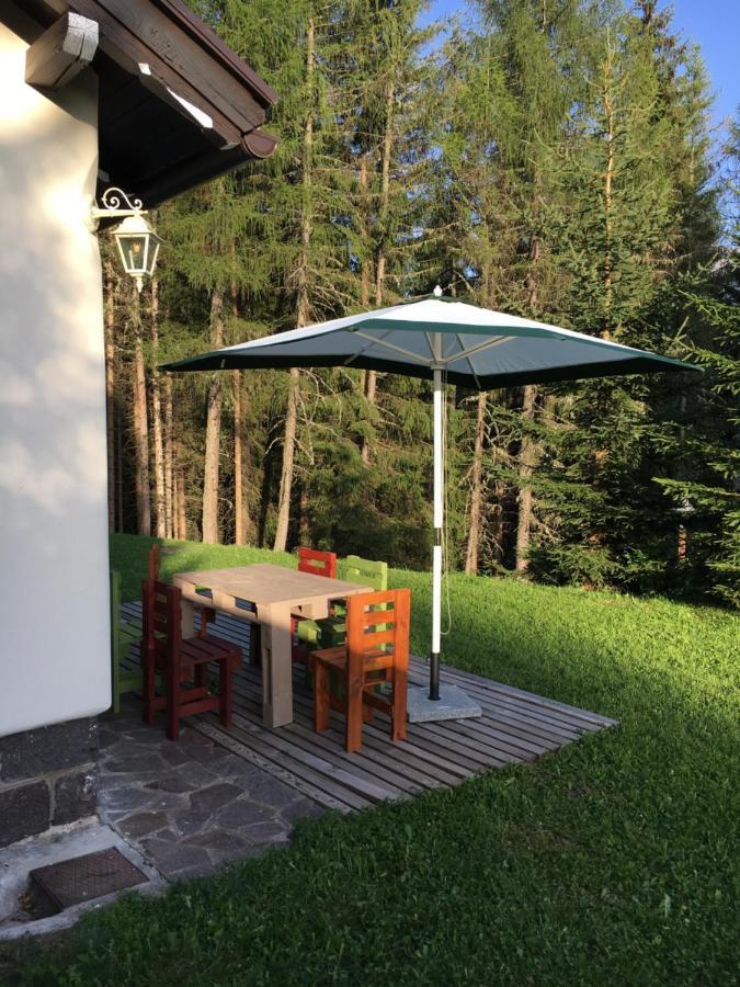 Il Finferlo Villa Bellamonte Exterior foto