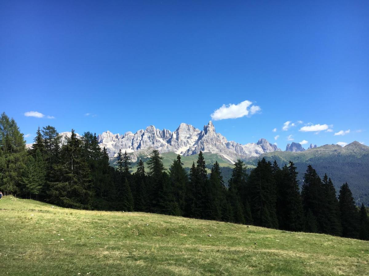 Il Finferlo Villa Bellamonte Exterior foto